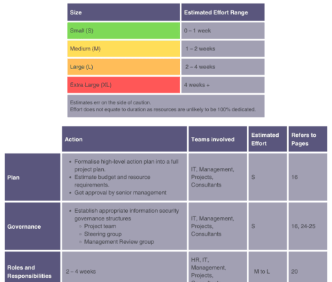 InfoSec ISMS Actions